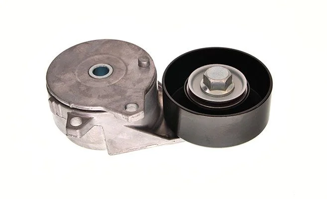 Conjunto de correias em V MAXGEAR 54-1631