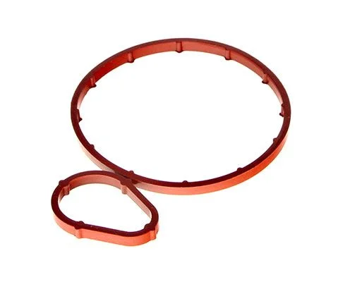 Conjunto de Vedação, bomba de vácuo MAXGEAR 70-0443