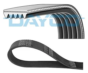 305 DAYCO 5PK925