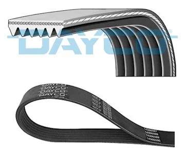 305 DAYCO 6PK1255