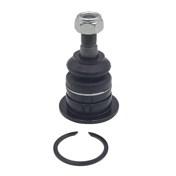 Šarnyras / girgždukas CTR CB0406