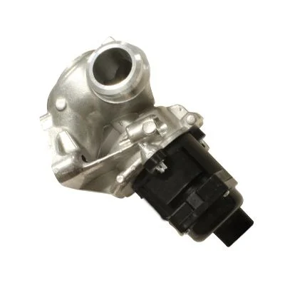 Válvula EGR HITACHI 138481
