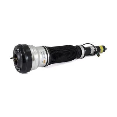 Air Suspension Strut Arnott AS-2193