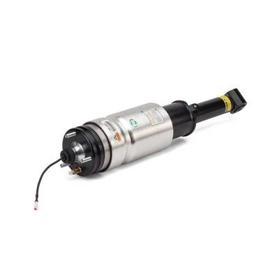 Air Suspension Strut Arnott AS-2761