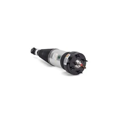 Coluna de Suspensão a Ar Arnott AS-3234