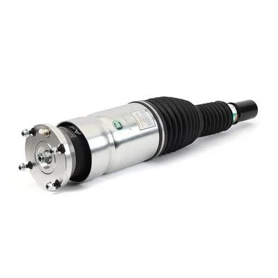 Coluna de Suspensão a Ar Arnott ASE-3735