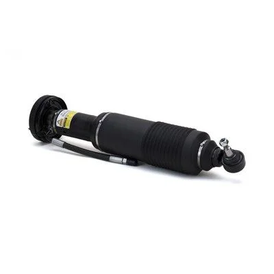 Coluna de Suspensão a Ar Arnott SK-2413