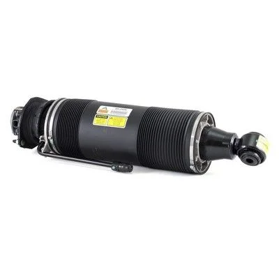 Coluna de Suspensão a Ar Arnott SK-2420