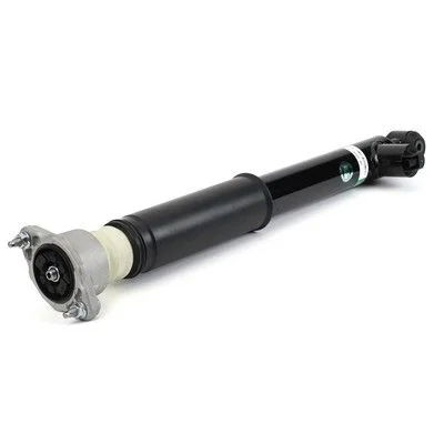 Amortizatorius Arnott SK-3059