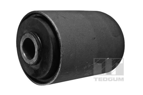 Suporte, mola de lâmina TEDGUM 00228079