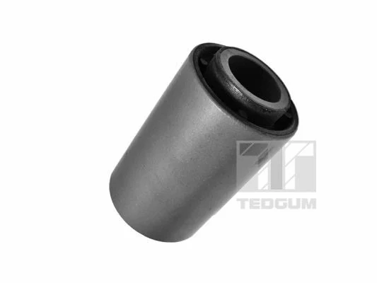 Suporte, mola de lâmina TEDGUM 01087038