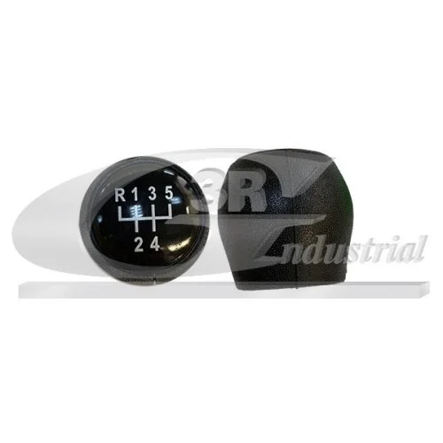 Gear Lever Knob 3RG 25431