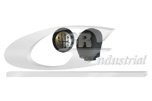 Gear Lever Knob 3RG 25617