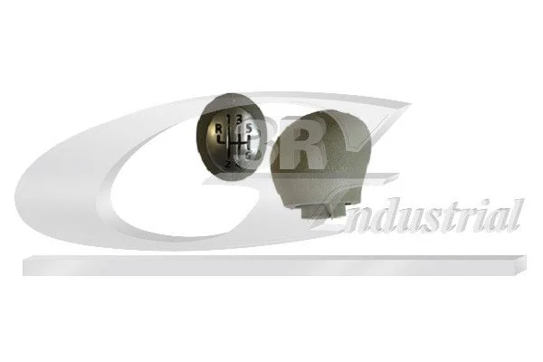 Gear Lever Knob 3RG 25618