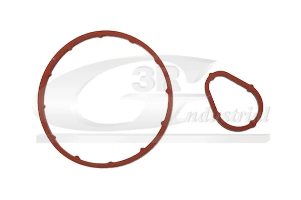 Conjunto de Vedação, bomba de vácuo 3RG 74208