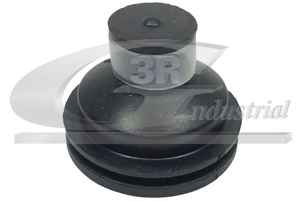 Suporte, motor 3RG 81653