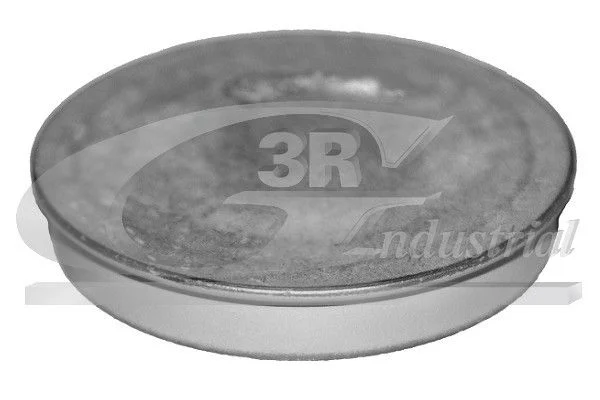 Tampa de proteção, cubo da roda 3RG 84702