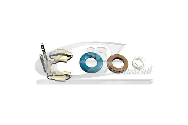 Seal Ring Set, injection valve 3RG 87501