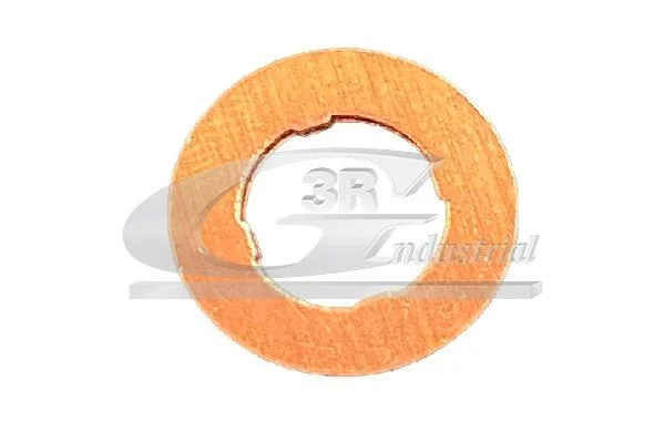 Seal Ring, injector 3RG 87706