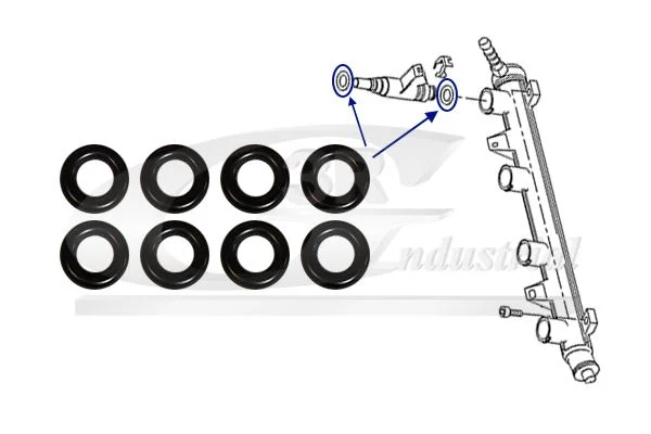 Seal Ring Set, injection valve 3RG 99714