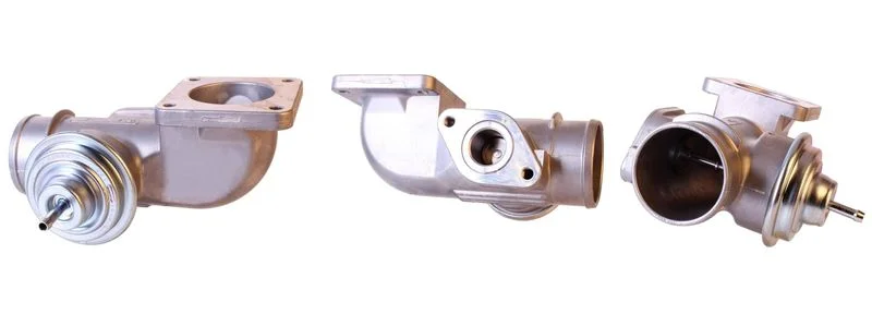 EGR Valve DRI 717710081