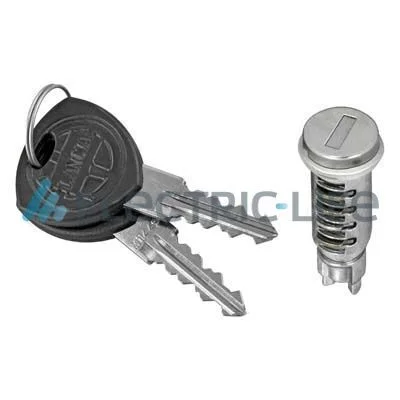 Lock Cylinder Electric Life ZR801018