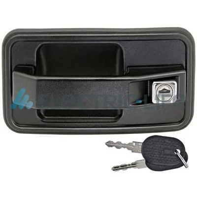 Exterior Door Handle Electric Life ZR80349