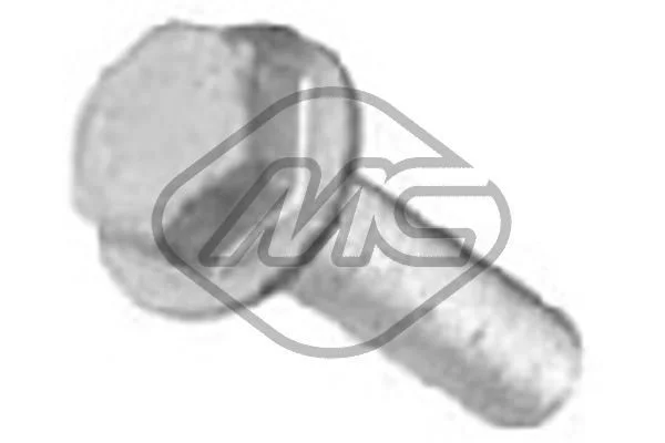 Parafuso da polia Metalcaucho 02255