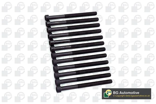 Conjunto de parafusos da cabeça do cilindro BGA BK3354
