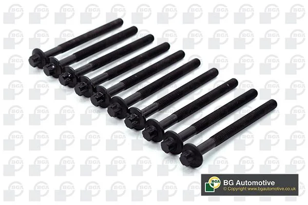 Conjunto de parafusos da cabeça do cilindro BGA BK3381