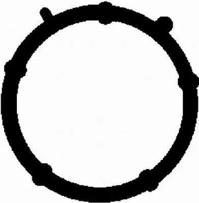 Gasket, intake manifold BGA MG2531