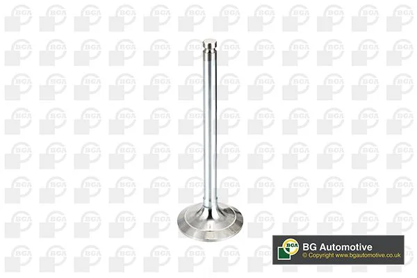 Válvula de admissão BGA V017062
