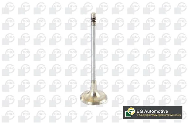 Exhaust Valve BGA V090100