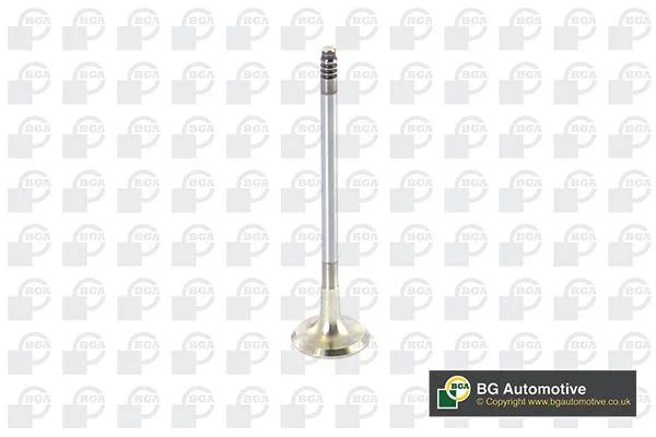 Exhaust Valve BGA V090101