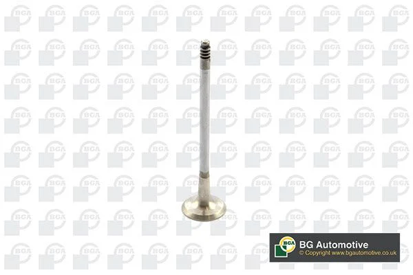 Exhaust Valve BGA V090107