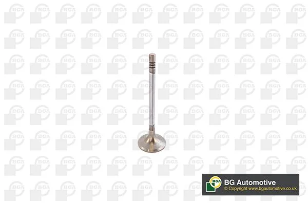 Válvula de admissão BGA V142049