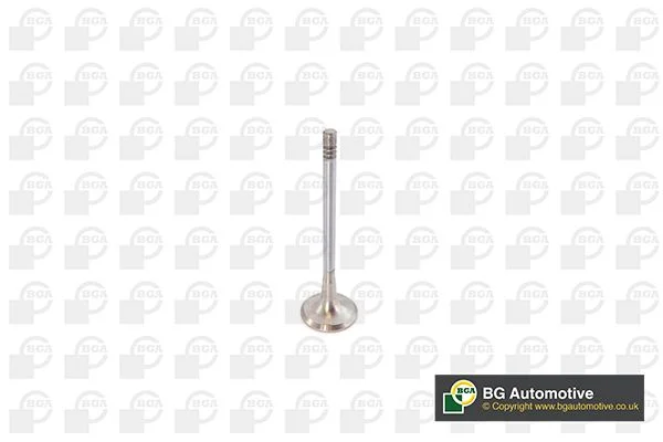 Válvula de escape BGA V142050