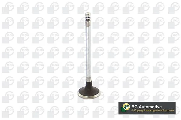 Intake Valve BGA V149486
