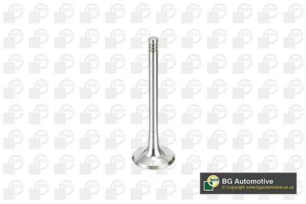Intake Valve BGA V163720