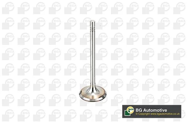Intake Valve BGA V164520