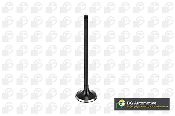 Exhaust Valve BGA V165411