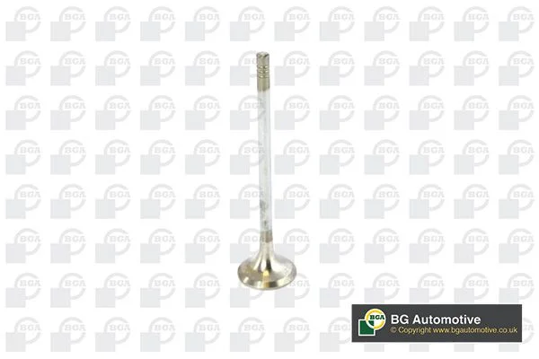 Exhaust Valve BGA V236820