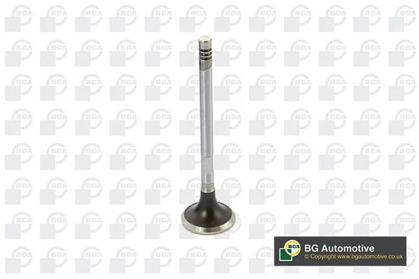 Exhaust Valve BGA V424832