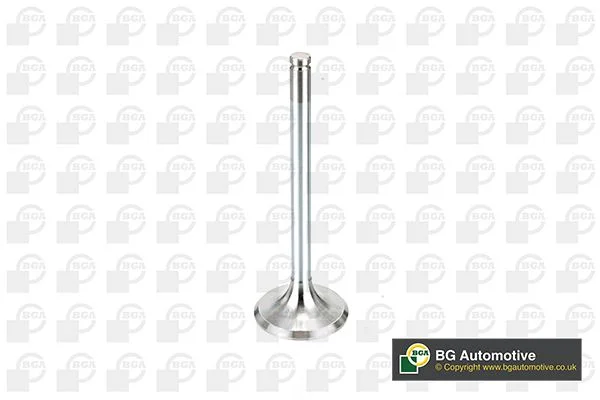 Intake Valve BGA V537746