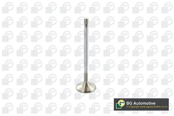 Válvula de admissão BGA V560011