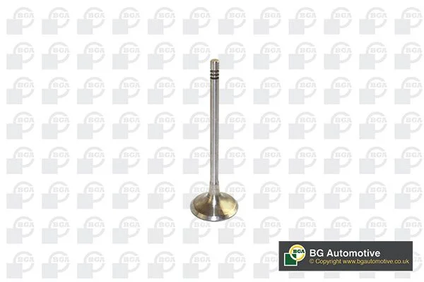 Intake Valve BGA V591701
