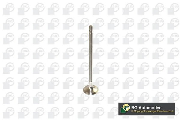 Exhaust Valve BGA V591702
