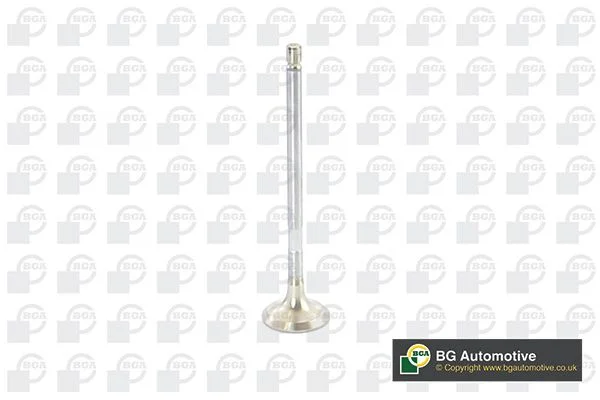 Exhaust Valve BGA V917011
