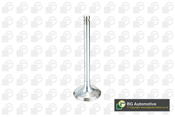 Intake Valve BGA V994546