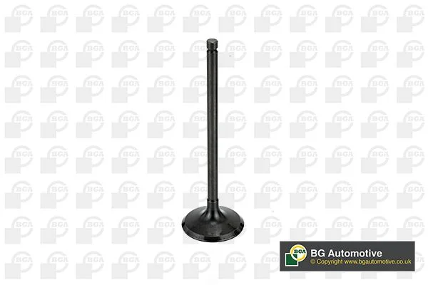 Intake Valve BGA V998745